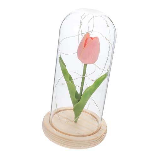SOLUSTRE Tulpenlampe Led Glasabdeckung Tulpelicht Dekoration Für Schreibtisch Innenraum Wohnzimmer Nachtlicht Leuchtende Tulpe Fake Tulpe Mit Licht SOLUSTRE Tulpenlampe Led Glasabdeckung Tulpelicht Dekoration Für Schreibtisch Innenraum Wohnzimmer Nachtlicht Leuchtende Tulpe Fake Tulpe Mit Licht von SOLUSTRE