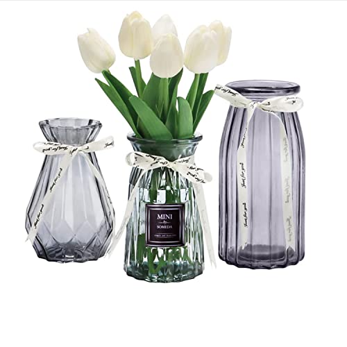 SOMEDA® Vasen Set 3 Stück/Verschiedene Größen und Formen/Moderne Blumenvasen/transparent, rot oder grau/Deko Wohnzimmertisch (3X Grau) von SOMEDA