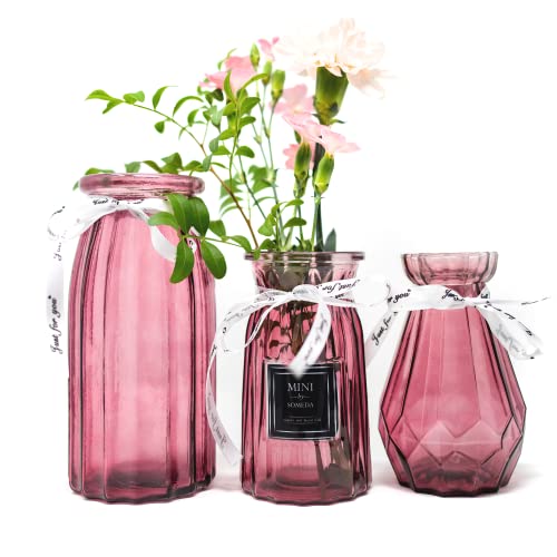 SOMEDA® Vasen Set 3 Stück/Verschiedene Größen und Formen/Moderne Blumenvasen/transparent, rot oder grau/Deko Wohnzimmertisch (3X Rot) von SOMEDA