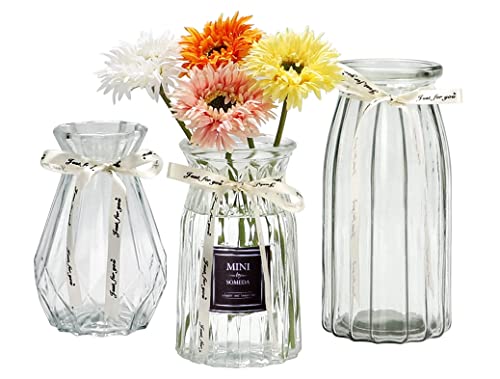 SOMEDA® Vasen Set 3 Stück/Verschiedene Größen und Formen/Moderne Blumenvasen/transparent, rot oder grau/Deko Wohnzimmertisch (3X Transparent) von SOMEDA