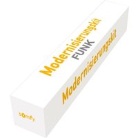 [NEUWERTIG] B-Ware Somfy Modernisierungskit Funkset Rollladenmotor Io 10/17 1038131 Schwarz von SOMFY
