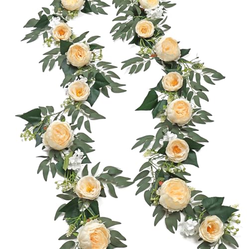 SOMYTING 2 Stück Künstliche Blumen Girlande Eukalyptus Girlande Vintage Gefälschte Blume Pfingstrose Rosenrebe Grün Dekorative Wandbehangpflanze für Hochzeitsbogen Türanordnung Party (Champagner) SOMYTING 2 Stück Künstliche Blumen Girlande Eukalyptus Girlande Vintage Gefälschte Blume Pfingstrose Rosenrebe Grün Dekorative Wandbehangpflanze für Hochzeitsbogen Türanordnung Party (Champagner) von SOMYTING