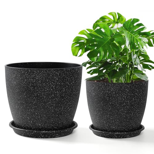 SOMYTING 24/19cm Schwarz Blumentopf,kräutertopf Kunststoff mit Drainagelöchern und Untertassen,blumentopf Set,2er-Pack Kunststoff Blumentopf,Innen und DraussenBasilikum Topf Orchideentopf von SOMYTING