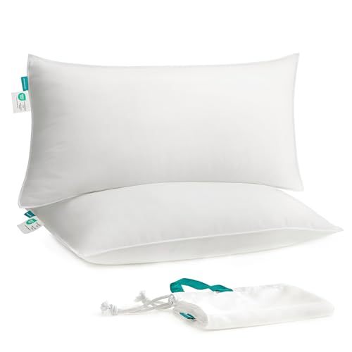 SONGMICS Kopfkissen 40 x 80 cm, 2er Set, Füllung 800 g, Stoffoberfläche aus weichem, gebürstetem Polyester, Kissen, maschinenwaschbar bei 60°, mit Aufbewahrungstasche, wolkenweiß TBP001W02 von SONGMICS