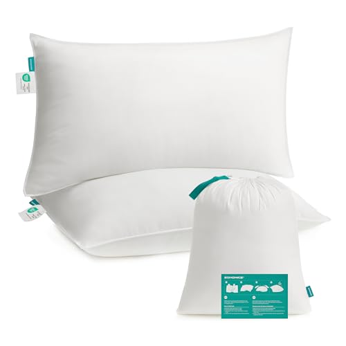 SONGMICS Kopfkissen 50 x 70 cm, 2er Set, Füllung 800 g, Stoffoberfläche aus weichem, gebürstetem Polyester, Kissen, maschinenwaschbar bei 60°, mit Aufbewahrungstasche, wolkenweiß TBP006W02 von SONGMICS