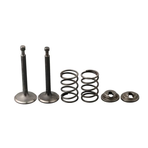 Einlass-/Auslassventil-Feder-Spannring-Halter-Set for GX200 168F/170F 5, 6.5HP Gasmotor-Generator-Mäher von SONGMIky