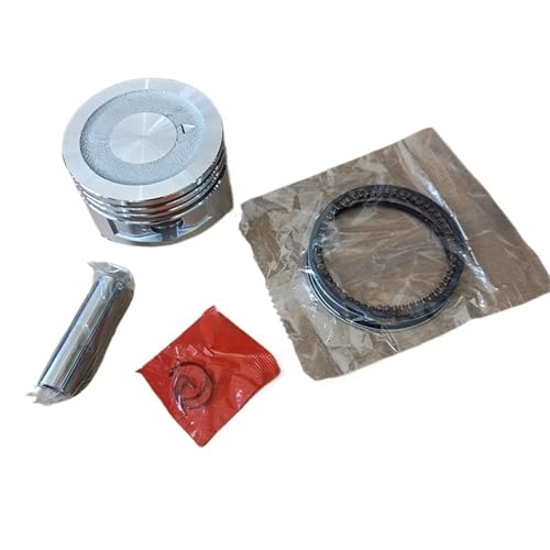 GXV120 KOLBENSATZ 60 MM for 118 CC 4 T 4 PS OHV VERTIKALE WELLE HR194 214 215 MÄHERZYLINDERRINGSATZ PIN CLIPS MONTAGE von SONHWNGE