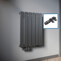 SONNI Design Heizkörper flach und klein für Badezimmer, vertikaler Badheizkörper flach Paneelheizkörper für Bad Flachheizkörper 600*465mm Antrazit ohne/mit Mittelanschluss SONNI Design Heizkörper flach und klein für Badezimmer, vertikaler Badheizkörper flach Paneelheizkörper für Bad Flachheizkörper 600*465mm Antrazit ohne/mit Mittelanschluss von SONNI