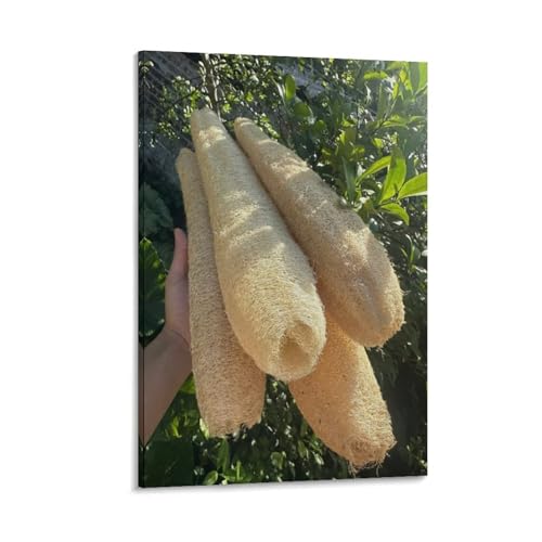 SOONIER Kunstdruck auf Leinwand, natürlicher Luffa, Merch, 30 x 45 cm SOONIER Kunstdruck auf Leinwand, natürlicher Luffa, Merch, 30 x 45 cm von SOONIER