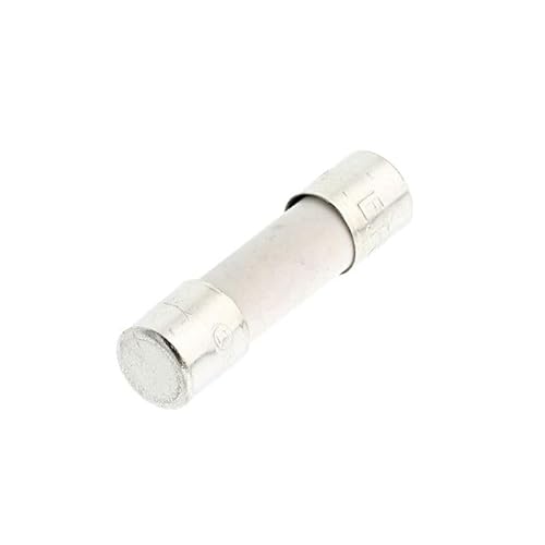 Electrolux Original-Sicherung, 8 A, für Mikrowelle, 50287203009 von SOS ACCESSOIRE