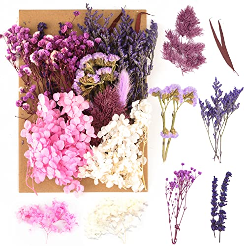 SOSPIRO Natürliche Getrocknete Blumen,Trockenblumen zum Basteln,Blumen Natürliche Gemischte,Getrocknete Blumen für Kunst Basteln DIY Harz Scrapbooking Handwerk Karten Machen von SOSPIRO