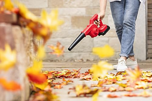 AKKU LAUBBLÄSER - 2 IN 1 BLÄSER UND Sauger, INKLUSIVE AKKU UND LADEGERÄT - LEICHT, HANDLICH OHNE LÄSTIGE Kabel von SOUCCESS