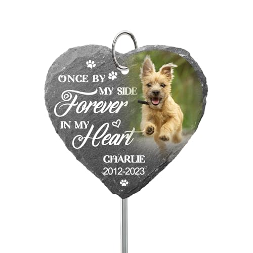 SOUFEEL Personalisierte Grabstein für Hund Katze mit Foto und Text, Personalisierter Gedenkstein mit Haken Pfahl, Grabschmuck Grabplatte für Haustiere, Schiefer Gedenktafel Tiergrabstein SOUFEEL Personalisierte Grabstein für Hund Katze mit Foto und Text, Personalisierter Gedenkstein mit Haken Pfahl, Grabschmuck Grabplatte für Haustiere, Schiefer Gedenktafel Tiergrabstein von SOUFEEL