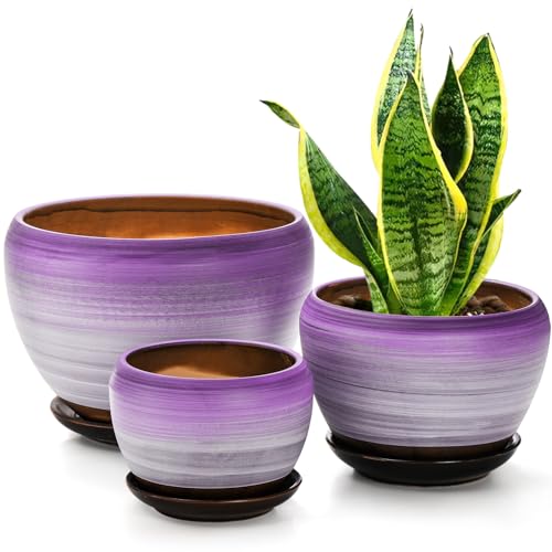 SOUJOY 3er-Set Keramik-Blumentöpfe, Gartenpflanztopf mit Drainagelöchern und Untersetzer, 1,2 cm, lila, rund, Sukkulenten, Kräuter, Kaktus, Übertopf für drinnen und draußen von SOUJOY