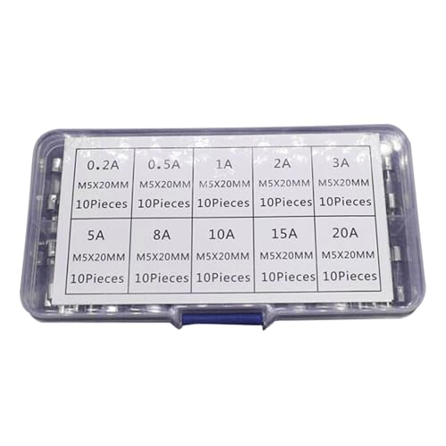 SOUTHJIELING 100 Stück/Set Fast Glass Sicherungen, 10 Stück, Glasrohrsicherungen, verschiedene Größen, 100 Stück, 5 x 20 mm, Fuchsia von SOUTHJIELING