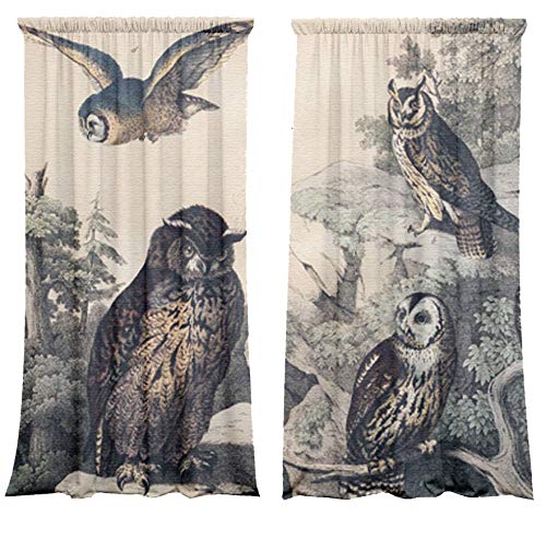 Vorhang-Set mit Tunnelzug, Blickdicht (2er Set) Owls von SOWE