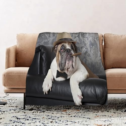 SOYDAN Kuscheldecke Flauschig - Premium Anti-Pilling Decke Porträt Einer englischen Bulldogge, die Kuscheldecke Flauschig Decke Flanell, Warm Winter Weich, Decke Couch Blanket, Wohn- & Kuscheldecken von SOYDAN