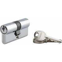 SP - Schlosszylinder mit gezahntem Schlüssel Ecopro vernickelt - 30 x 30 - Verschiedenes - thirard - 00007258 von SP