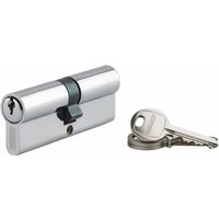 SP - Schlosszylinder mit gezahntem Schlüssel Ecopro vernickelt - 40 x 40 - Verschiedenes - thirard - 00007190 von SP