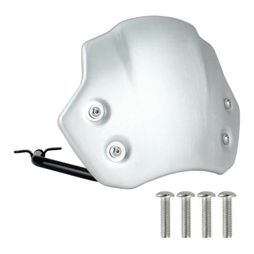 SPAMFAFGHQ Aluminium Spoiler Windabweiser Front Verkleidung Windschutz Windschutz Für B&MW R NineT Reine Für Scrambler 2016-2023 R 12 NineT 2023-AUF(Silber) von SPAMFAFGHQ