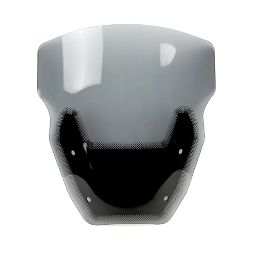SPAMFAFGHQ Motorradzubehör Windschutzscheibe Windabweiser Für R1300GS R1300 GS R 1300GS 1300 GS(GRAU) von SPAMFAFGHQ