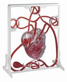 Pumping Human Heart Model with Artificial Blood von SPANCARE PHARMACEUTICALS