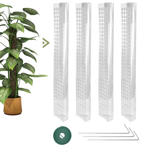 SPEACOUR Pflanzer Moos Moosstab für Monstera Rankhilfe Zimmerpflanzen 10x 61cm Selbstbewässerung Rankhilfe Monstera Blumenerde Zimmerpflanzen Rankstab Rankstäbe Pflanzenstab Moosstab von SPEACOUR