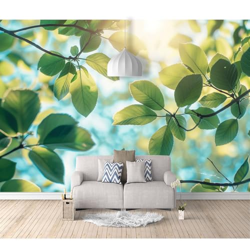 Fototapete 3D Effekt Wandbilder selbstklebend Grüne Pflanzen, Blätter, Sonnenlicht, Naturlandschaft 100x70cm Wohnzimmer Schlafzimmer Esszimmer TV Hintergrund Wanddekoration Tapete von SPECUFX