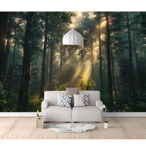 Fototapete 3D Effekt Wandbilder selbstklebend Wald, Bäume, Sonne, Nebellandschaft 100x70cm Wohnzimmer Schlafzimmer Esszimmer TV Hintergrund Wanddekoration Tapete von SPECUFX