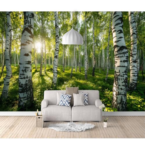 Tapeten Poster 3D selbstklebend Birkenwaldgrün, sonnige Naturlandschaft 100x70cm Restaurant Dekoratives Fototapete 3d Effekt Tapete Wohnzimmer Schlafzimmer Hintergrundbild von SPECUFX