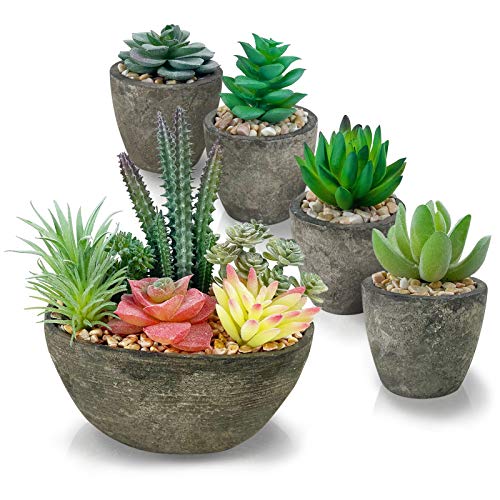 Sukkulenten Pflanzen Künstliche 5er Set, realistische künstliche Sukkulenten mit zementähnlichen Töpfen für Home Office Dekoration. Sukkulenten Pflanzen Künstliche 5er Set, realistische künstliche Sukkulenten mit zementähnlichen Töpfen für Home Office Dekoration. von SPEPLA