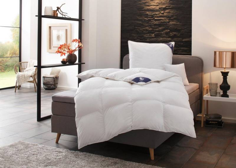 SPESSARTTRAUM Daunenbettdecke First Class, Füllung: 90% Daunen / 10% Federn, Klasse 1, Downpass zertifiziert, Bezug: 100% Baumwolle, Made in Green, Hausstauballergiker geeignet, 5 Wärmeklassen & 6 Größen, Bestseller von SPESSARTTRAUM
