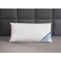 Daunenprogramm Antarktis von Spessarttraum Daunenprogramm Antarktis von Spessarttraum von SPESSARTTRAUM