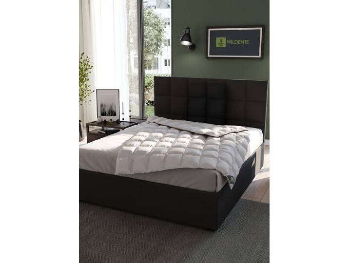 Hochwertiges Wildentendaunen-Bettwarenprogramm von Spessarttraum – Beste Qualität für erholsamen Schlaf, EXTRA LEICHT, Größe 110 (155/220 cm), Silber von SPESSARTTRAUM