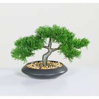 Spetebo - Kunst Zedem Bonsai in Keramik Schale - 22 cm - Dekobaum mit schwarzem Blumentopf - Kunst Topfpflanze Zimmerpflanze Dekorpflanze Kunstblumen Spetebo - Kunst Zedem Bonsai in Keramik Schale - 22 cm - Dekobaum mit schwarzem Blumentopf - Kunst Topfpflanze Zimmerpflanze Dekorpflanze Kunstblumen von SPETEBO