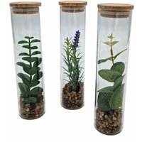 Spetebo - Kunstpflanze in Glasvase ca. 20 cm - 3er Set - Sukkulenten im Glas mit Holzdeckel - Tisch Deko Zimmer Pflanze in Vase Set künstlich von SPETEBO