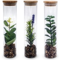 Spetebo - Kunstpflanze in Glasvase ca. 20 cm - 3er Set - Sukkulenten im Glas mit Holzdeckel - Tisch Deko Zimmer Pflanze in Vase Set künstlich von SPETEBO