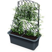 Kunststoff Blumenkasten anthrazit mit Rankgitter - 80 x 59 cm - Garten Pflanztopf mit Kletterhilfe Kunststoff Blumenkasten anthrazit mit Rankgitter - 80 x 59 cm - Garten Pflanztopf mit Kletterhilfe von SPETEBO