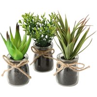 Topfpflanze Sukkulente im Glas - 3er Set - Kunstpflanze Tischdeko Pflanze künstlich von SPETEBO