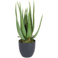 Spetebo - Aloe Vera Kunstpflanze im Topf - 45 cm - Deko Pflanze Zimmerpflanze künstlich von SPETEBO