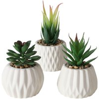 Spetebo - Deko Kunstpflanze im weißen Topf 3er Set - 15 / 12 / 10 cm Höhe - Künstliche Sukkulente mit Blumentopf - Tischdeko Kunstblume Zimmerpflanze von SPETEBO