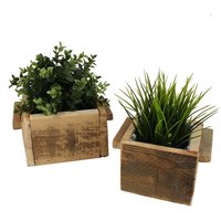 Holz Pflanzkasten 2er Set - 18 + 14 cm - Deko Pflanztopf Blumentopf Kräutertopf von SPETEBO