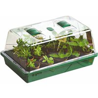 Spetebo - Mini Gewächshaus - 38 x 24 cm - Anzuchtschale mit Deckel Spetebo - Mini Gewächshaus - 38 x 24 cm - Anzuchtschale mit Deckel von SPETEBO