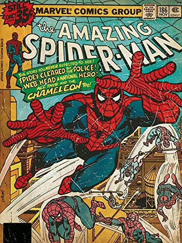 Pyramid International Leinwanddruck, Poly Canvas + MDF Frame, Mehrfarbig, 60 x 80 cm von SPIDER-MAN