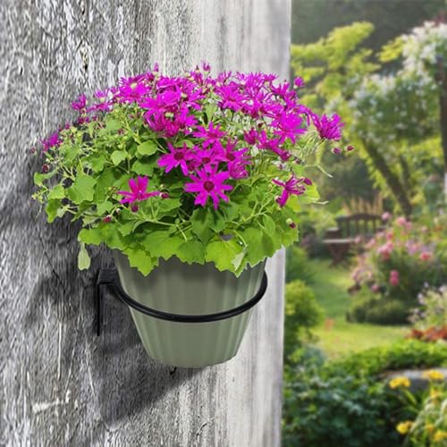 2 x Blumentopfhalter, hängende Pflanzenständer, Ringhaken, Wandmontage, Blumentopfständer, Metallring, Blumentopf (15,2 cm) von SPORTARC