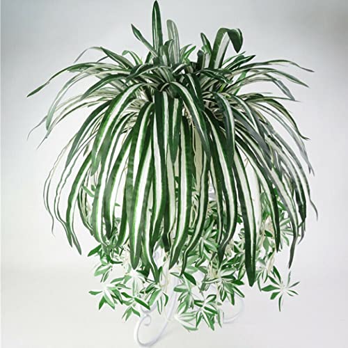 Künstliche Seide Chlorophytum Orchidee Spinne Pflanze Gras Haus / Garten Dekor von SPORTARC