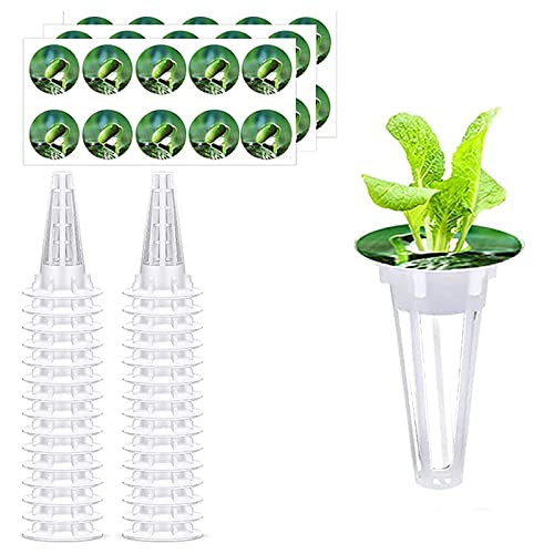 SPORTARC Hydrokultur Soilless Grow Sponges Pflanzkorb Kit für Pflanzen Garten Home Decor Pflanzen Blumen (50 Stück Korb und 50 Stück Verdunkelungsaufkleber) von SPORTARC