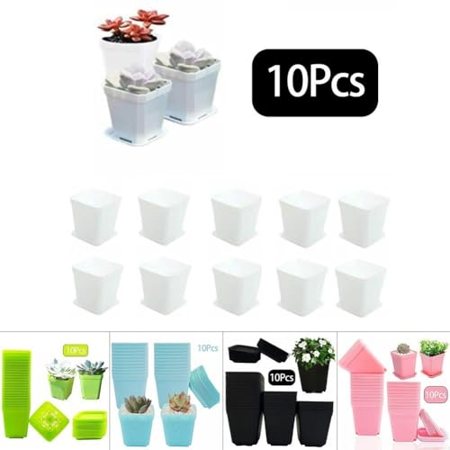 Sammlung von 10 quadratischen Blumentöpfen aus Kunststoff mit Abflusslöchern und abnehmbaren Tabletts, für den Start und die Pflege kleiner Pflanzen, leichtes und wiederverwendbares Design (weiß) von SPORTARC