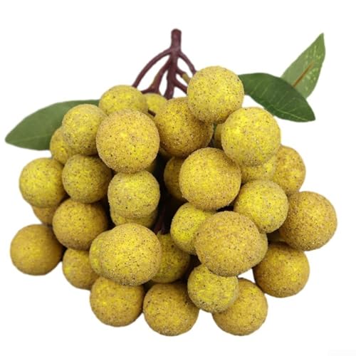 Wohnkultur mit lebensechten künstlichen Früchten Longan, Litschi, Heidelbeere, Kirschen für Fotografie Requisiten und Inneneinrichtung (A) von SPORTARC