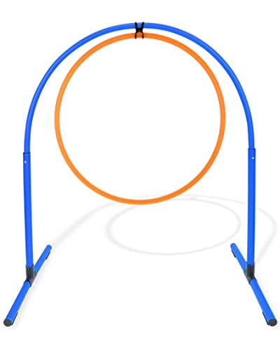 SPORTIKEL24 Hoop mit Ring 70 Farbe Blau/Orange von SPORTIKEL24